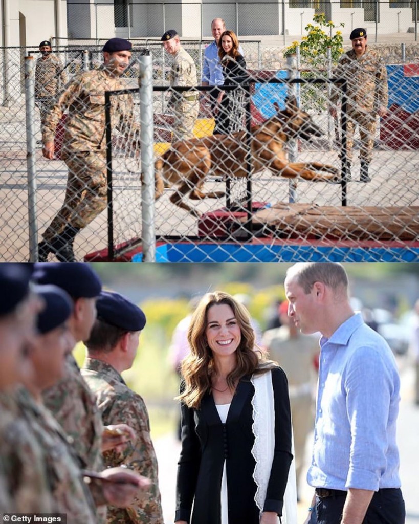 06ABDEE8-C4D7-476E-959F-BC36F46C575F