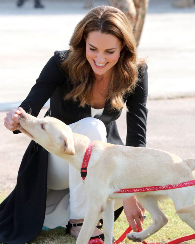 A4D7B125-FC68-4116-A2A0-C9C0B46E9132