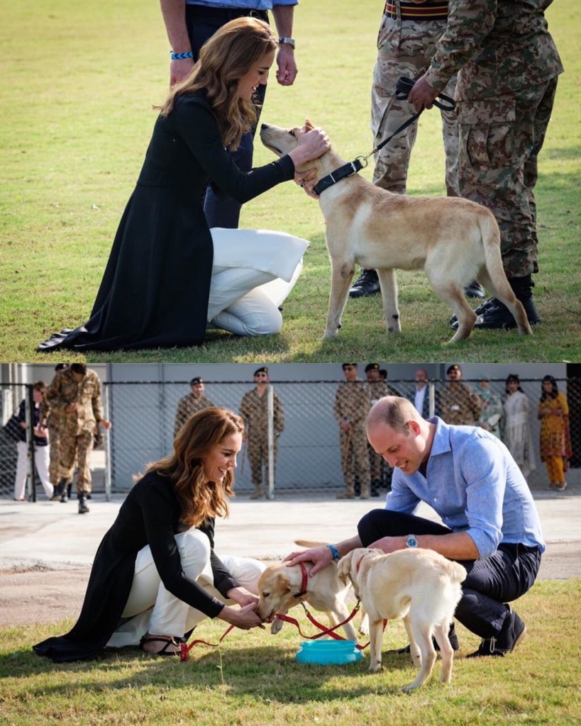 BF9371EE-B6EB-4B8E-A48E-79F8D7A5EF01