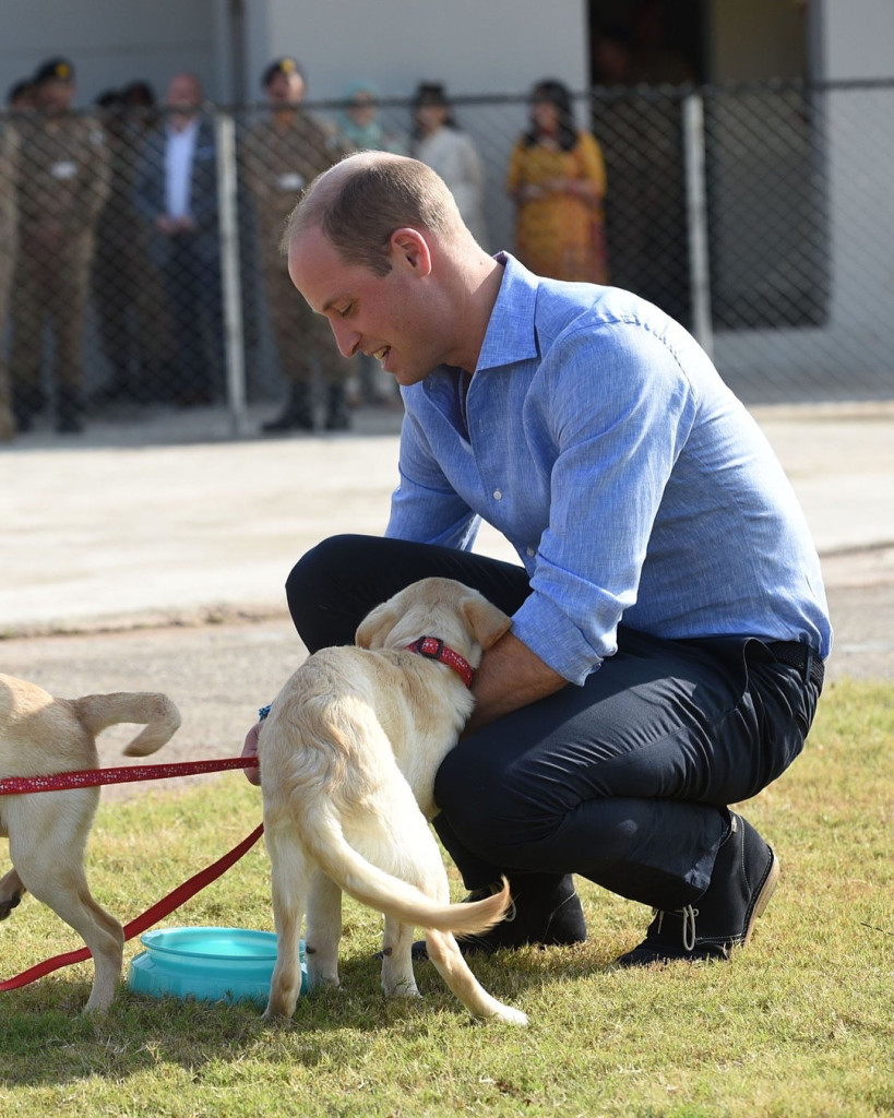 D3A10D22-3A3A-4DA1-86DA-50465DB0601C