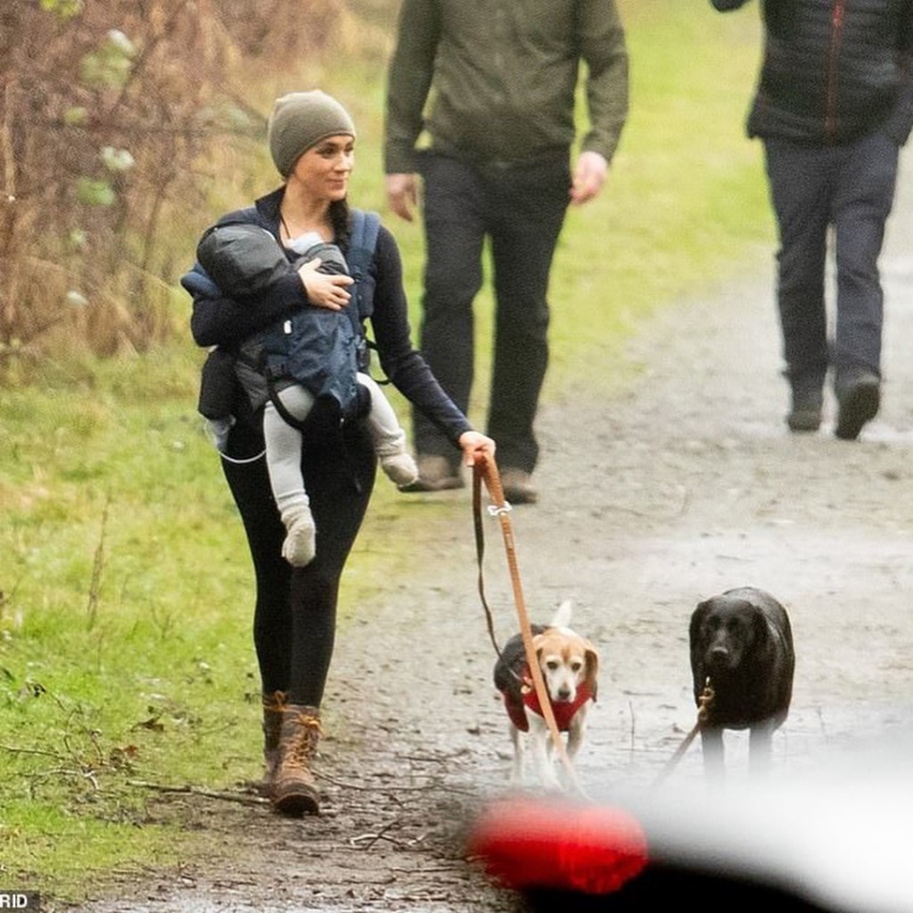 0EAA2484-6DD1-4A6E-8496-6622B23625C9