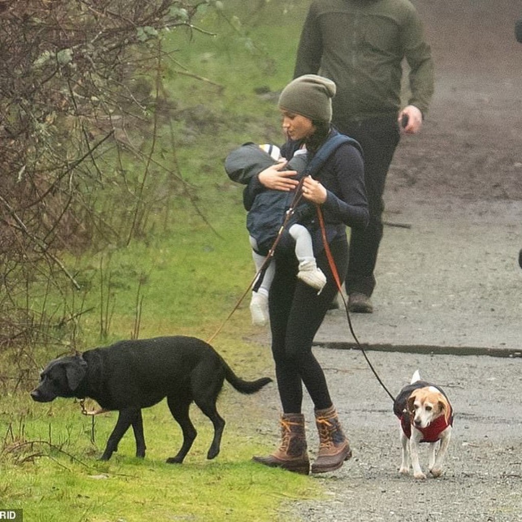 626F7B00-B1DE-4804-8F66-AD0A8AAD1CC5