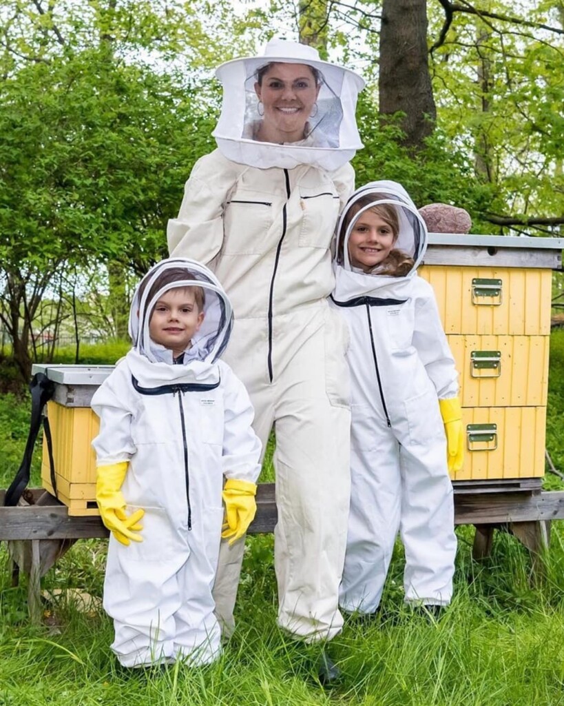 1C5E7B05-A62E-4958-A26E-D7589CD4AAF3