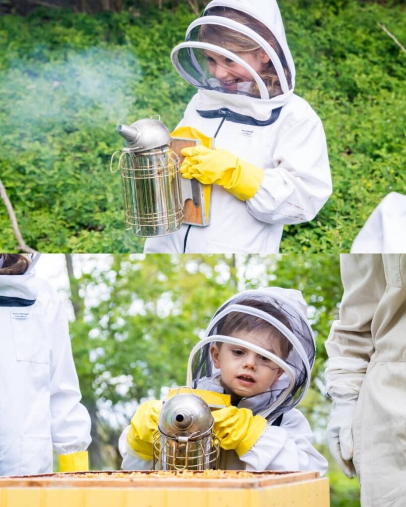 2909B2BF-3535-4982-9B22-B92E45A8F7C7