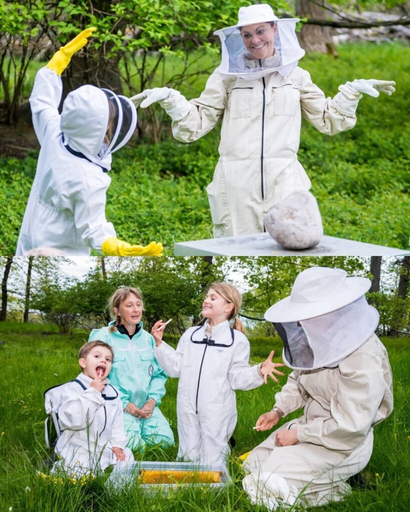 34C1D44F-0C3A-4B24-889B-A7533EA8E017