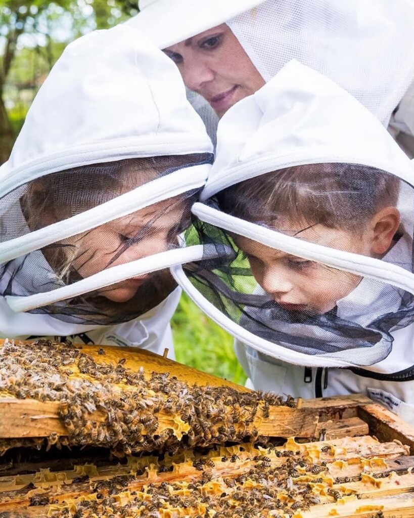 4AAE8AD6-7B5A-407C-ADD8-1E14007E30DD