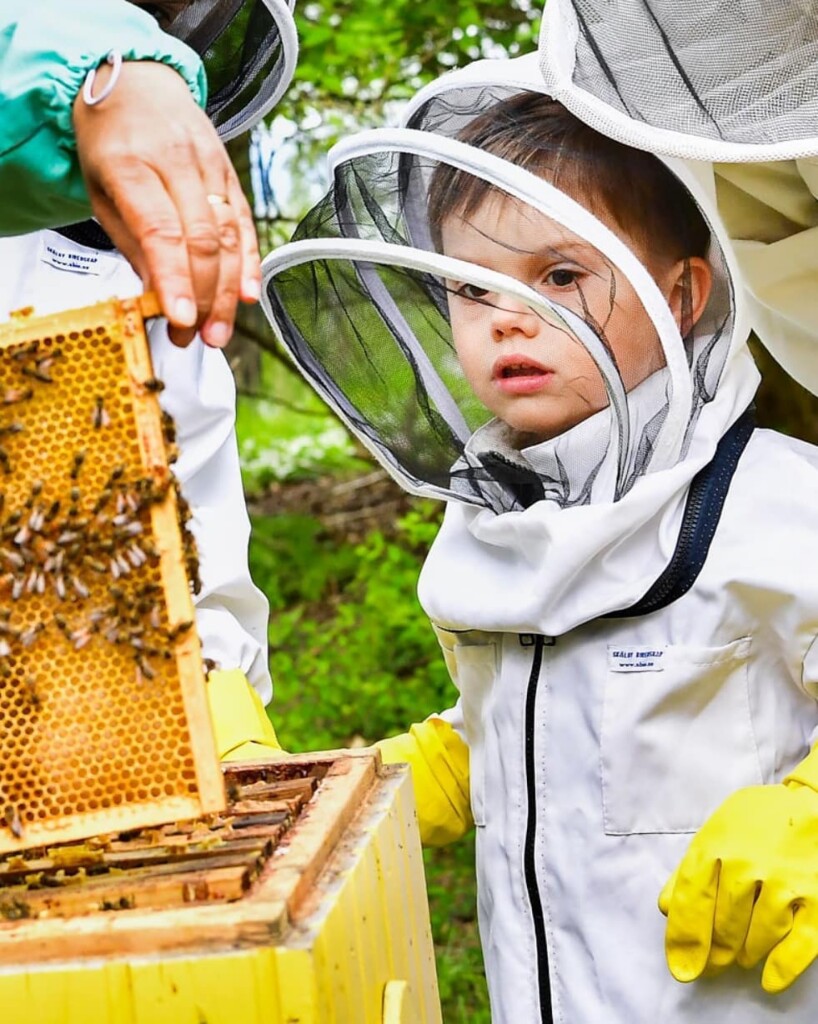 7E0344A7-3C01-4D85-8B11-A0A8BD287821