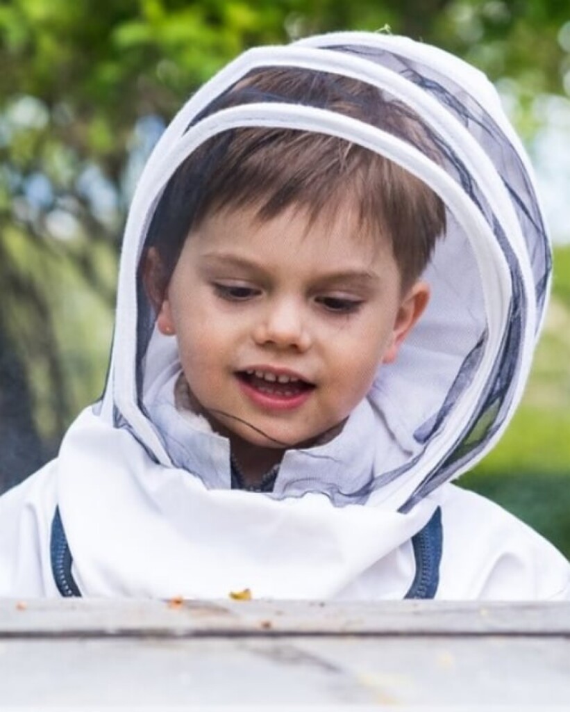 D14E1534-8F3B-4D73-8C63-6CC56DAAF128