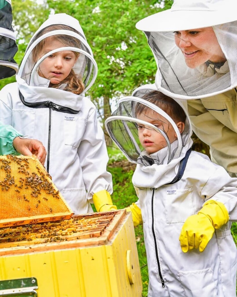 DC606638-2460-426A-BB61-84109E5D2164