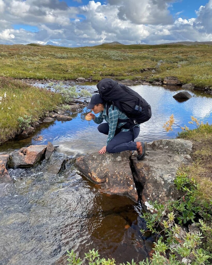 Crown Princess Victoria and Prince Daniel hiked the 47 km long the ...