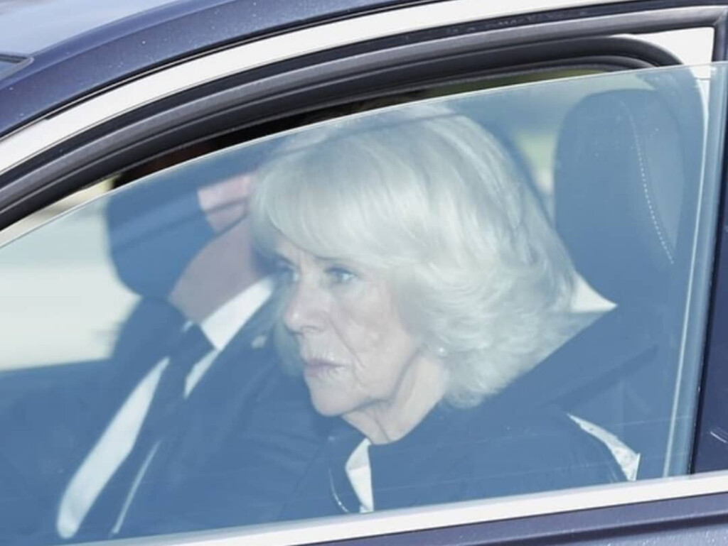 6D74E7CE-F1CE-4B11-8BE8-727D5B9FDE3D