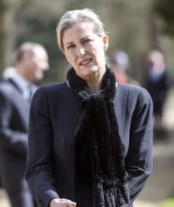 9917BACF-55E7-4BEC-9311-87A2BD0FC261