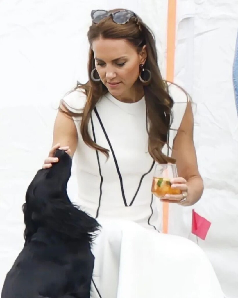 A6F28CDA-93B7-4161-8ACF-F8C2A1BBB43C