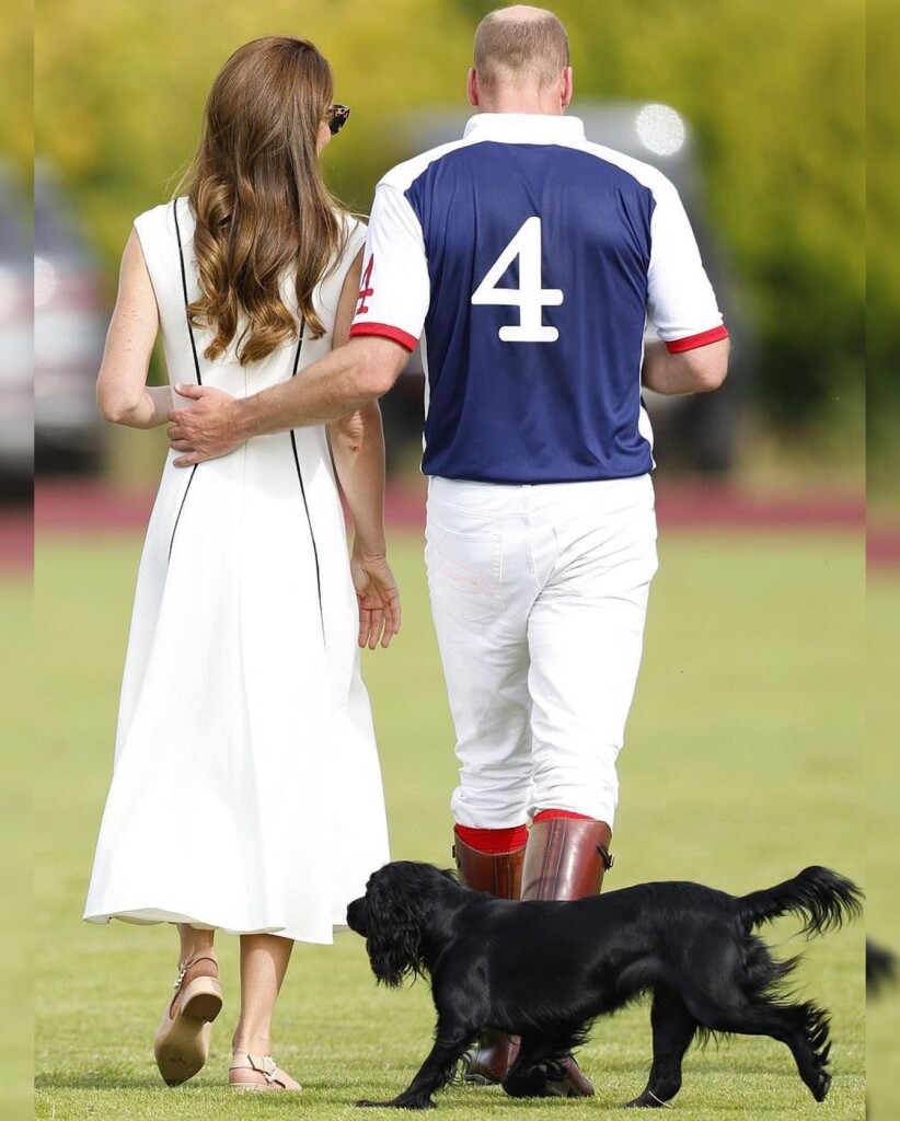 D55B15B1-4FCE-48FC-8819-4F6952F93EBF